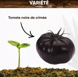 wrhbdfwrdbh - Copy.PNG