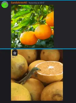 Screenshot 2026-05-11 083506.png
