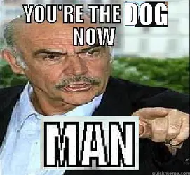 1782403785216.png