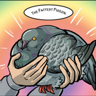 maybe a pigeon
