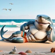Finnegan the Supershark