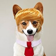 Dog-O-Tron 5000v5.0
