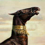 The horse dud