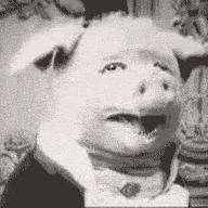 Rage Pig
