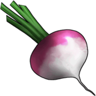 Theturnip
