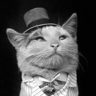 A Dapper Gent
