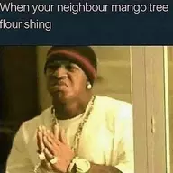 Dropsies