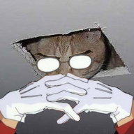 Ceiling Kitten