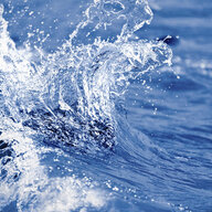 Warmest Water