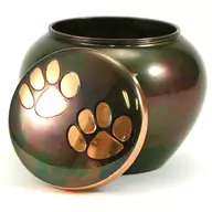 Cremated Cat