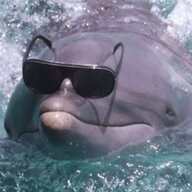obserfish