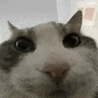 Dagoth AMOGUS
