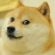 Echo_Doge