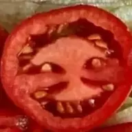 Anal Tomato