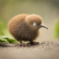 SmallKiwi