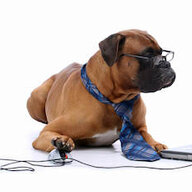 Atypical Dog