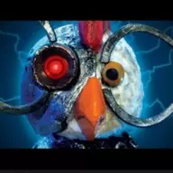Robotic Kiwi