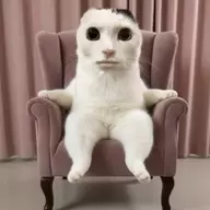 you_equipped_socks
