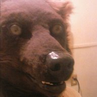 shitpuppy