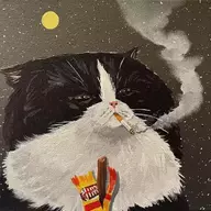Slim Jim The Cat