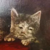 Barn Cat