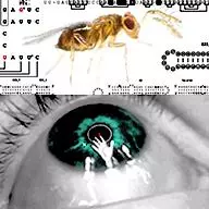 Toxidrome