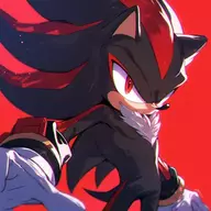 ShadowTheHedgeHog>:(