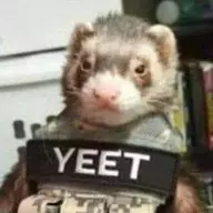 MaldingFerret