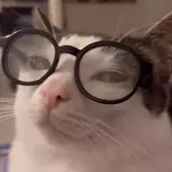 Sloppa