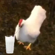 _Chicken_