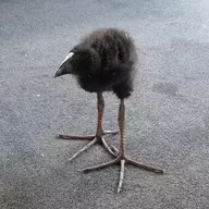 BinaryFucker