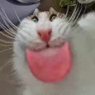 JanniesMoisturizeMyBottom