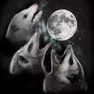 Hiss at the Moon