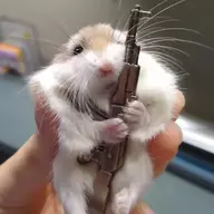 igotfoodinmypouch