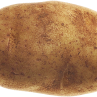 Steggu Etiw