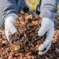 Mulch