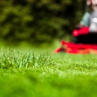 Top Notch Turf