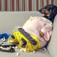 Lazy Man