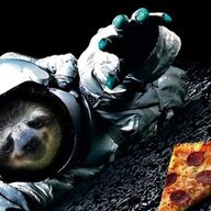 Pizza Sloth