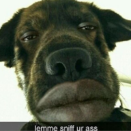 Unfunniest