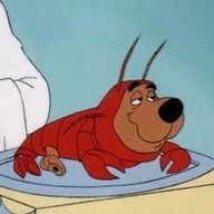 ScrappyLobsterchu