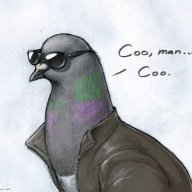 staycoolmf