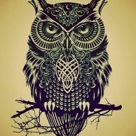 The Owl