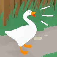 Loose Goose