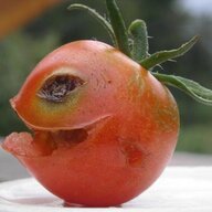 Hubelublub