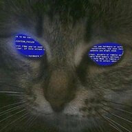 No girls on the internet