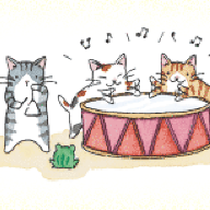 A Cat