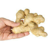 gingerthief