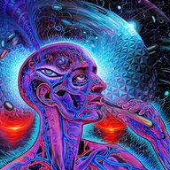 DMT Blastoid