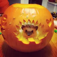 Hedgehog
